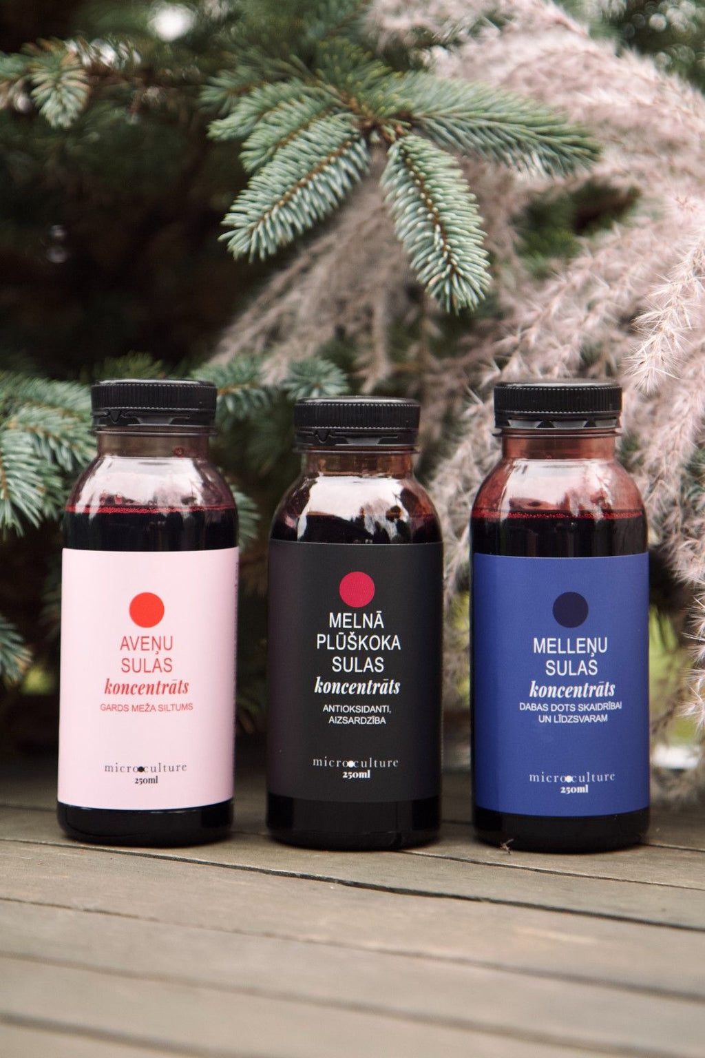 Labsajūtas komplekts - 3 dažādi sulu koncentrāti